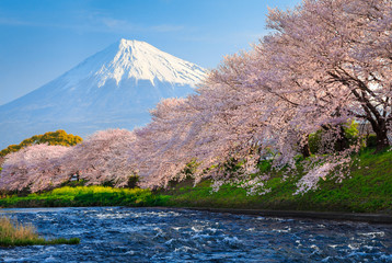 日本の景色